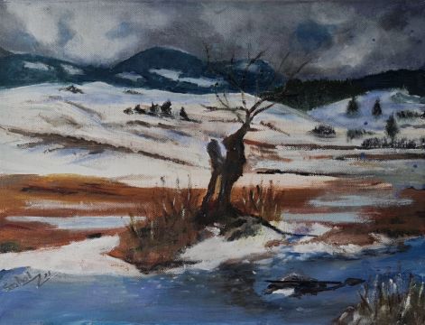 hoolvadas-_akrilvaszon30x40.jpeg